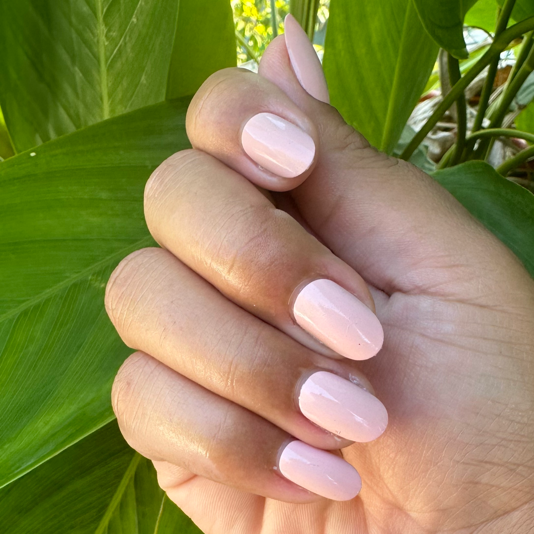 Sandy Blush