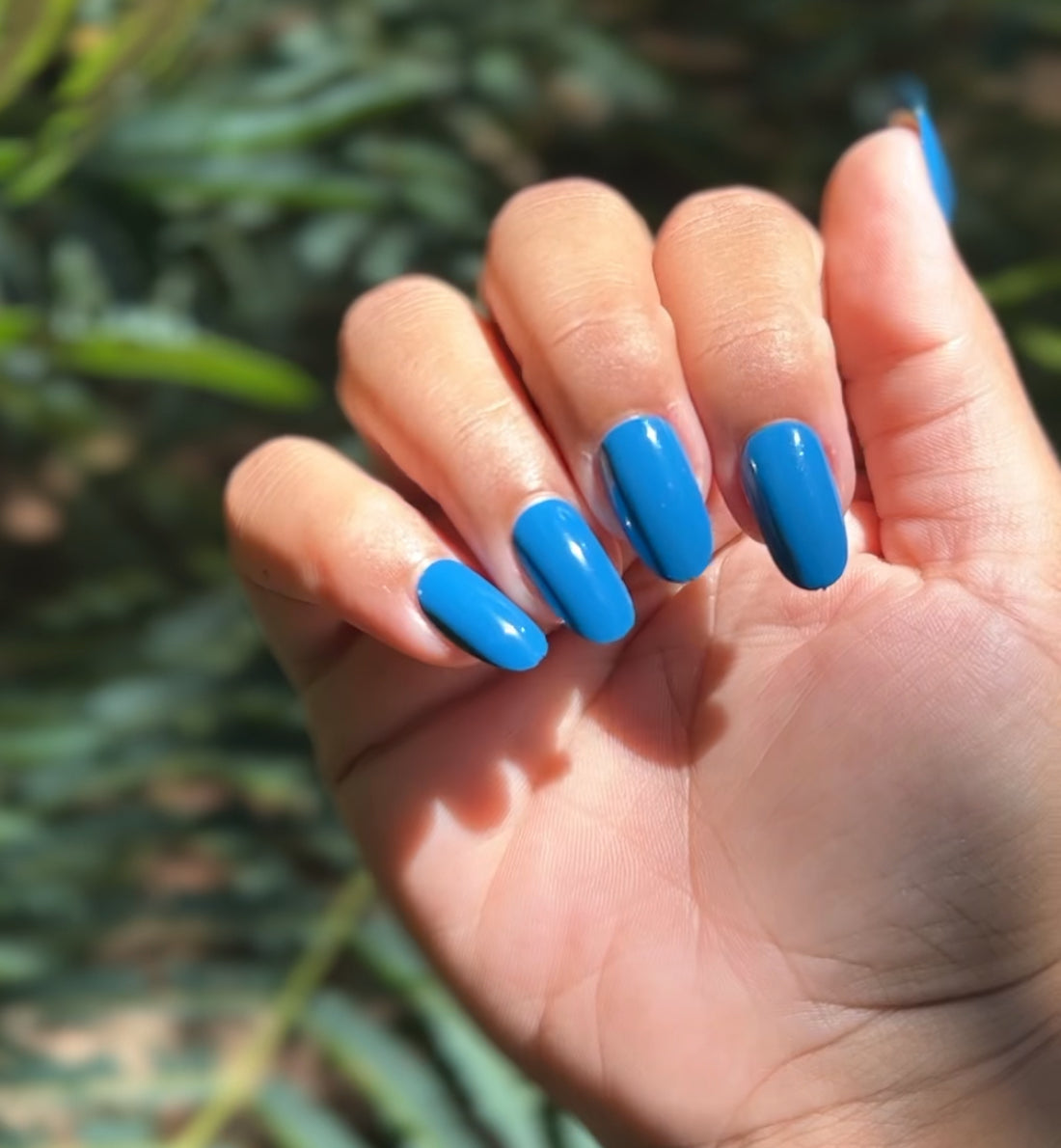 Sky Blue Colada